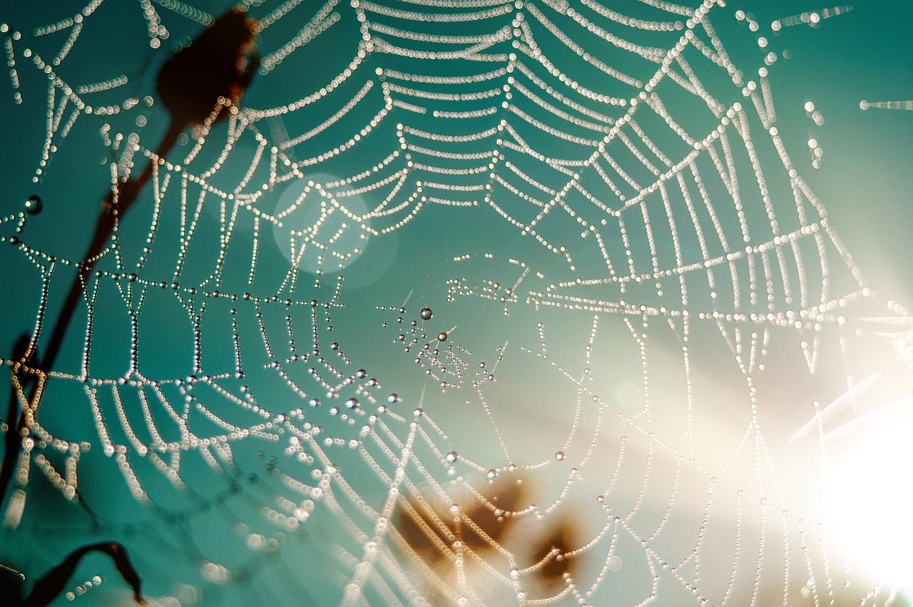 découvrez les compétences essentielles en développement web pour réussir dans le secteur du numérique : langages, frameworks, outils, bonnes pratiques et conseils pour progresser efficacement.