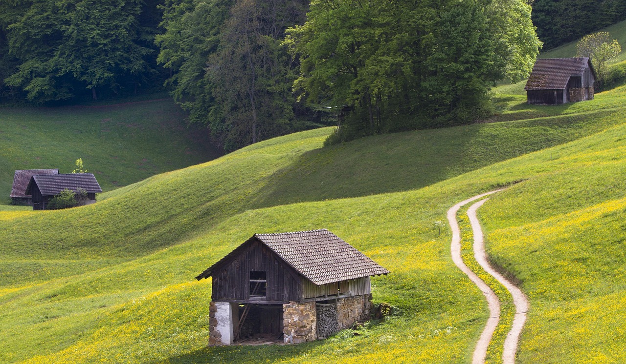 découvrez nos services et outils utilitaires conçus pour faciliter votre quotidien et optimiser vos tâches rapidement et efficacement.