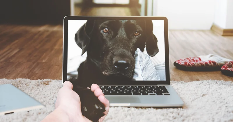 Convertir AVI en MP4 avec VLC : la méthode que tout le monde connaît et que personne n'utilise bien