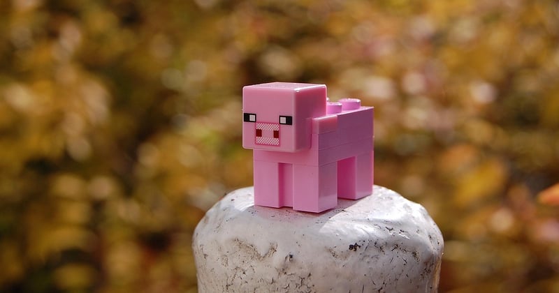 Enchantement densité Minecraft : le guide ultime pour des builds parfaits